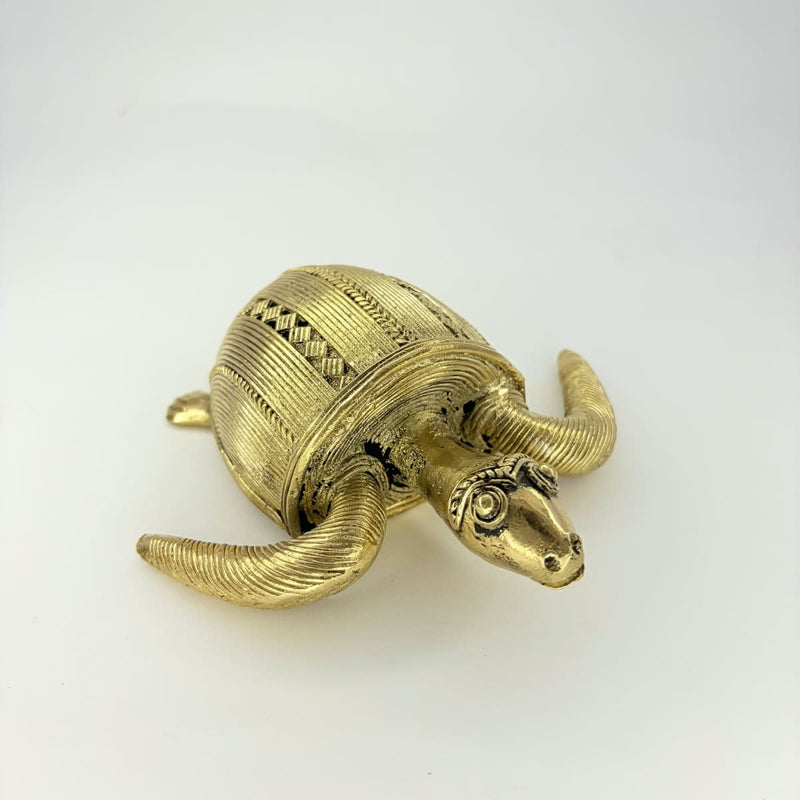 Dhokra See Turtle